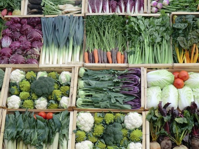 Productos ecológicos.