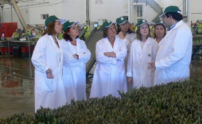 Cabezón visita una cooperativa de espárragos en Huétor Tájar
