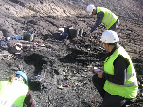 Yacimiento de dinosaurios en Ariño 