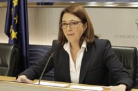 El PSOE urge al Gobierno a una reunión del "más alto nivel" para apoyar a las víctimas de violencia de género