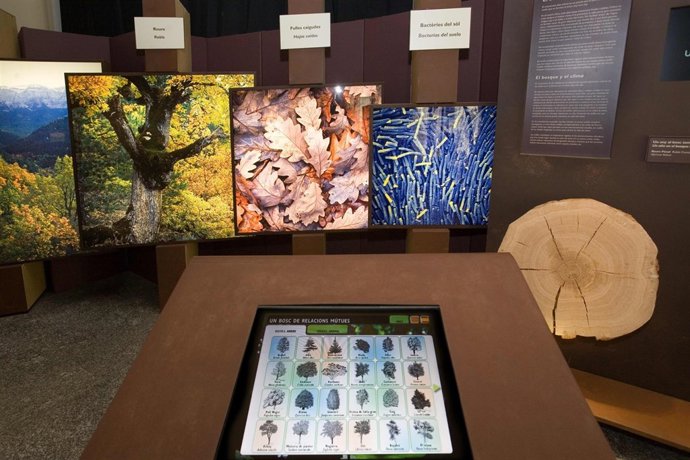 Exposición de "la Caixa" en Málaga 'El bosque. Mucho más que madera'