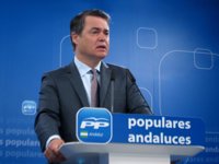 PP-A ve que la Audiencia de Sevilla señala "al más alto nivel" y a la "médula espinal" del PSOE-A en el caso ERE