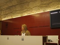 Reyes Leis considera que la dimisión de los siete ediles procesados "no es la mejor opción"