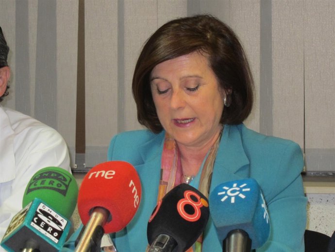 Sánchez Rubio en la rueda de prensa 