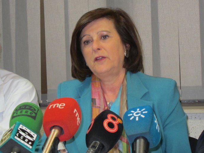 Sánchez Rubio en rueda de prensa 