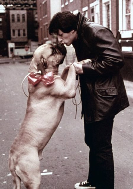 Sylvester Stallone con perro