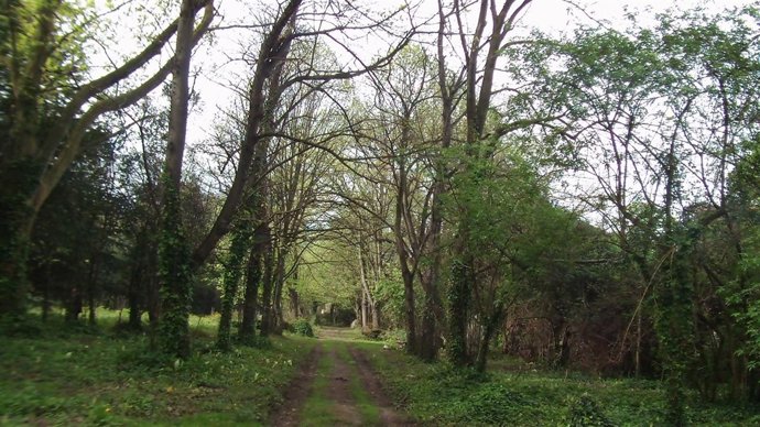 Finca Munoa de Barakaldo