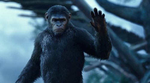  El Amanecer Del Planeta De Los Simios