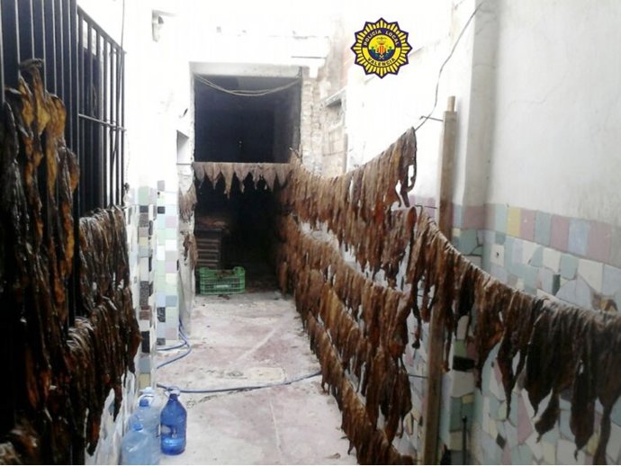 Inmueble donde se elaboraban ilegalmente caliqueños