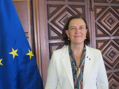 La candidata del PSOE al Parlamento Europeo, Inés Ayala