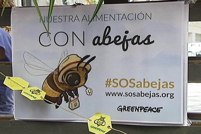 Greenpeace alerta sobre la disminución de abejas