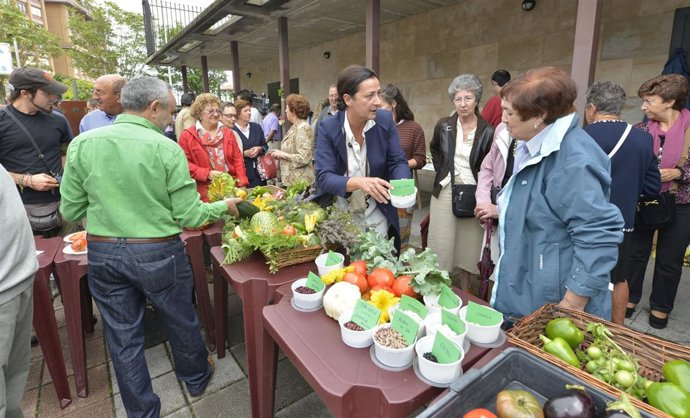 IV Fiesta de la Cosecha
