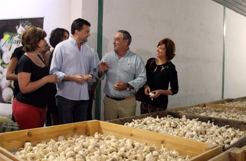 El coordinador general de IULV-CA, Antonio Maíllo, en la cooperativa agrícola