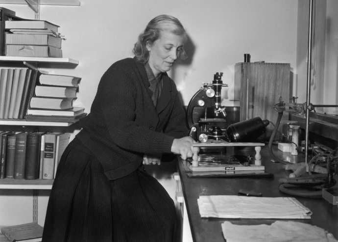  At Work, 4Th December 1964. Hodgki