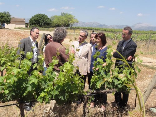 El candidato socialista Ramón Jáuregui