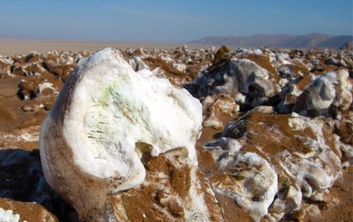 Salar en el desierto de Atacama, donde han detectado microalgas