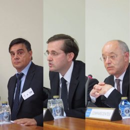 Futuros miembros del Consello Consultivo, tras la reforma de la ley
