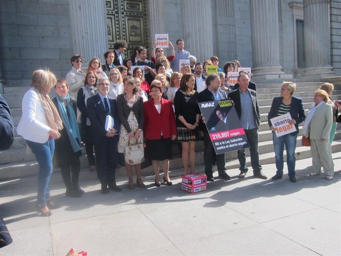 Entregan 217.000 firmas contra la reforma del Aborto
