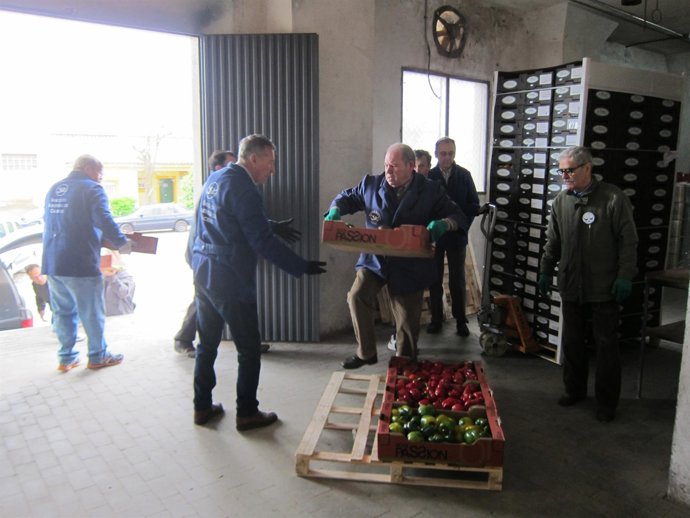 Reparto De Comida En El Banco De Alimentos De Cáceres