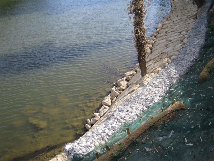 Foto de la ribera del Pisuerga en 4 de marzo, tomada por Izquierda Unida