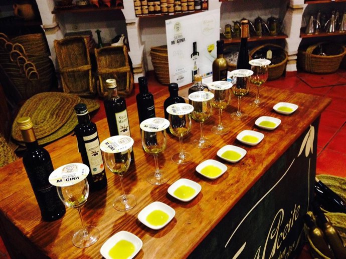 Cata de aceite de oliva en Baeza (Jaén)