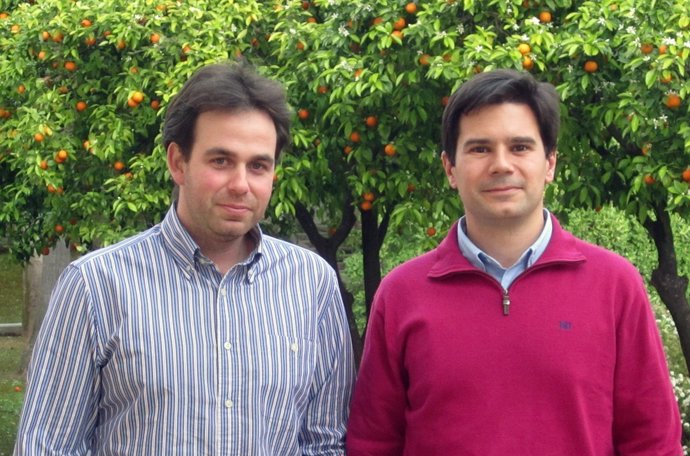 Los investigadores de US y UPO Antonio Morales y Francisco Martínez