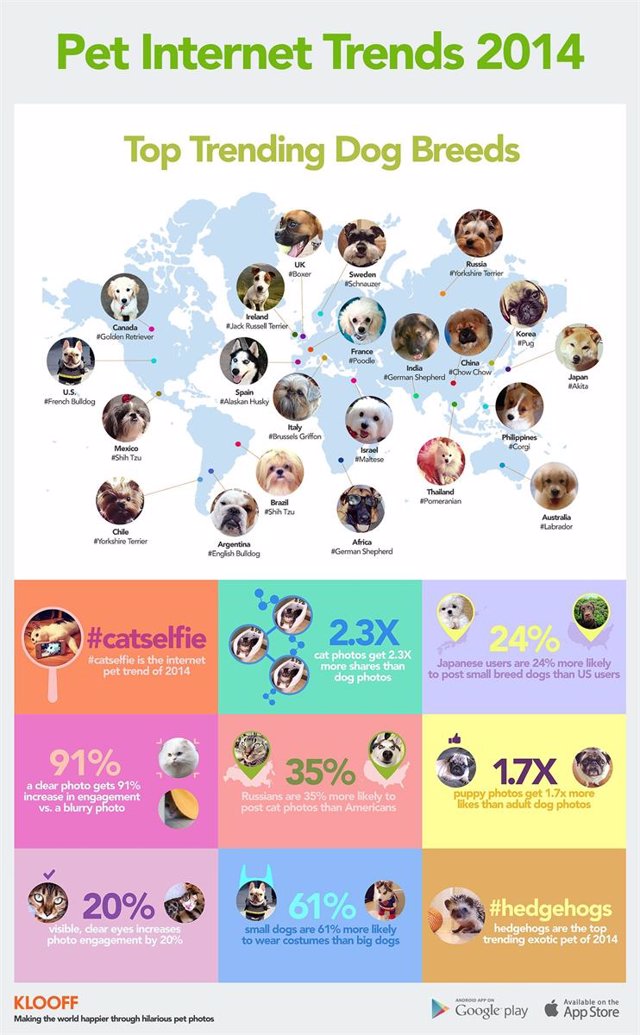 Tendencias de razas de perros en 2014