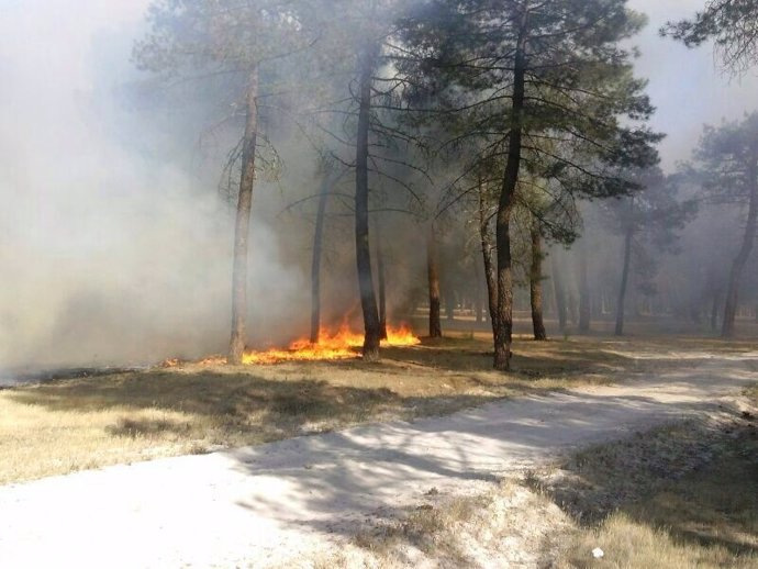 Incendio en el pinar de Pedrajas de San Esteban (Valladolid)