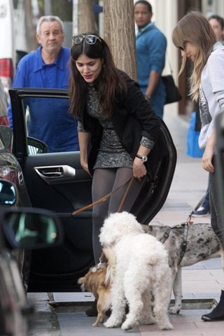 Adriana Ugarte entregada a sus perros como otros actores como Dani Rovira