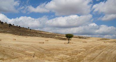 Castilla y León