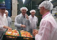 Maíllo demanda un incremento de los fondos UE para la incorporación de jóvenes a actividades agrícolas