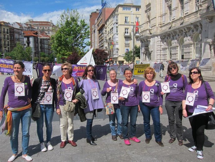 Comisión cántabra contra la violencia de género 