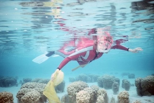 La doctora Linda Moore recoge muestras de microbiolitos