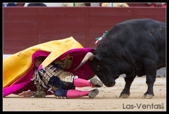 El torero David Mora cogido por un astado en Las Ventas el 20 de mayo de 2014