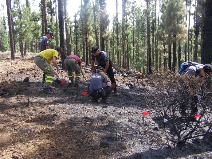 Curso de investigación      
