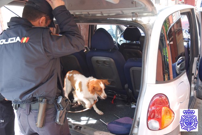 Un agente y un perro adiestrado en el transcurso de la operación antidrogra.