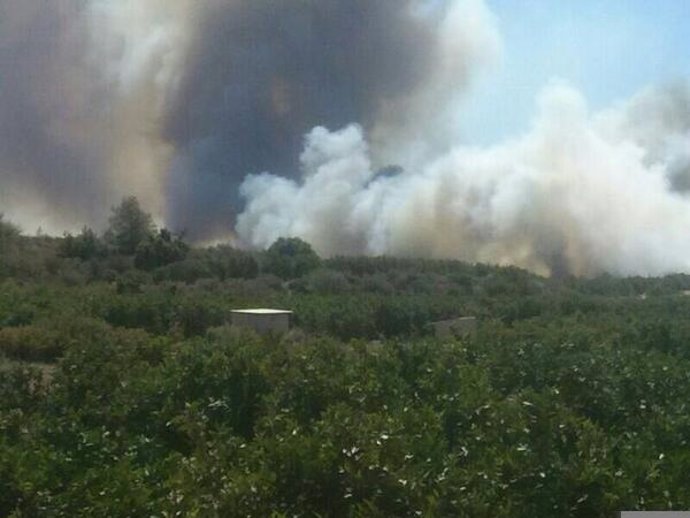 Incendio forestal en Pedralba (Valencia).