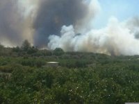 Incendios.- El incendio de Pedralba (Valencia) obliga a desalojar viviendas de una urbanización por el humo