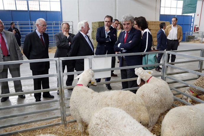 Leandro Esteban Inaugura Expovicaman