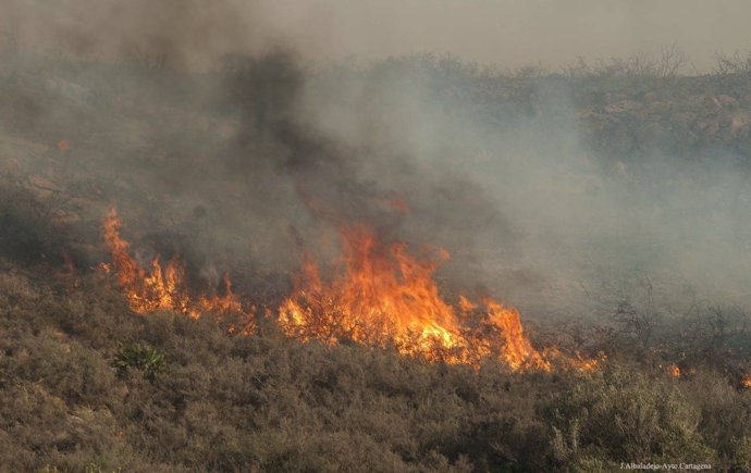 Imagen del incendio del barranco del Feo