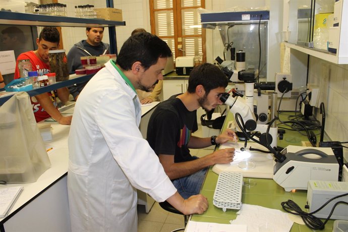 Alumnos en un laboratorio