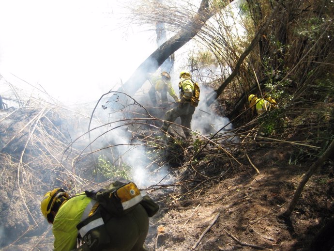 'Plan Thader' De Prevención Contra Incendios En Las Riberas De Ríos Y Ramblas