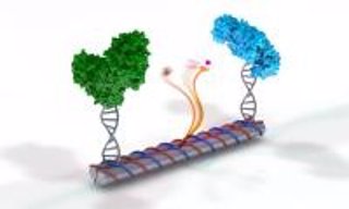 Nanotecnología de ADN
