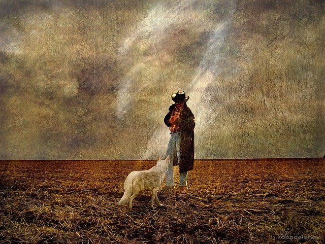 El perro y el granjero