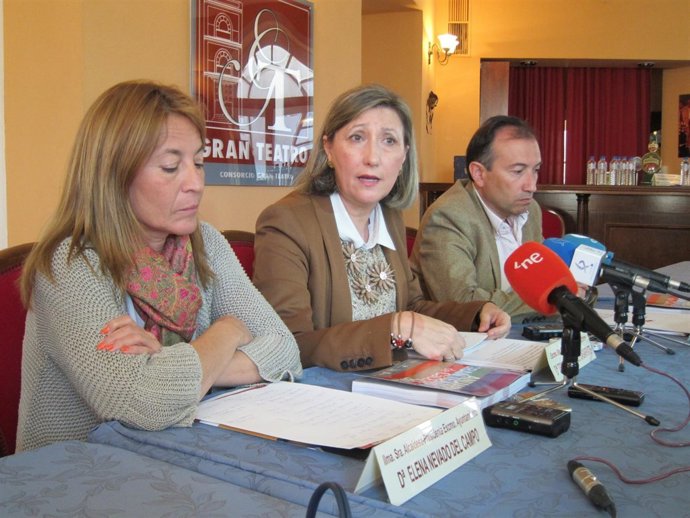 Trinidad Nogales Tras La Reunión Del Consejo Rector Del Gran Teatro