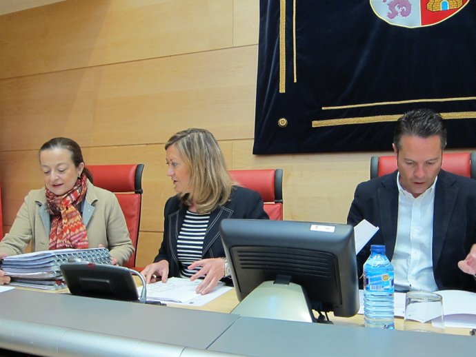 Pilar del Olmo, en el centro, en su comparecencia ante la Comisión de Hacienda