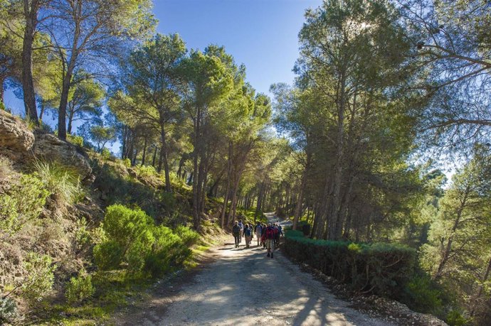 Senderismo Málaga Montes turismo interior 