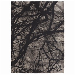 Primer Premio Grabado Vivanco