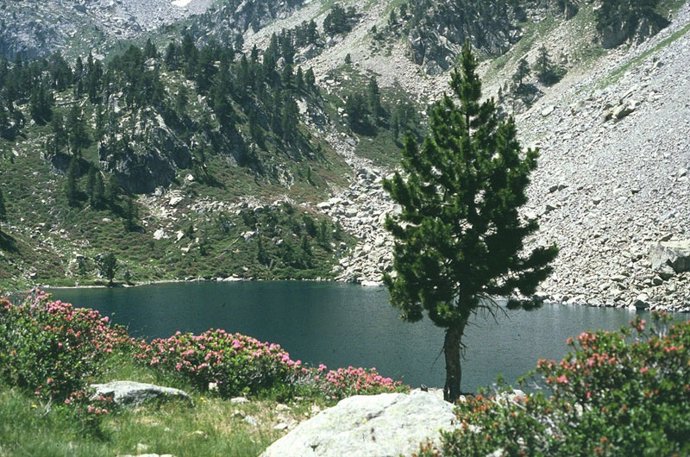 Lago de Subenuix en el Parque Nacional de Aigüestortes