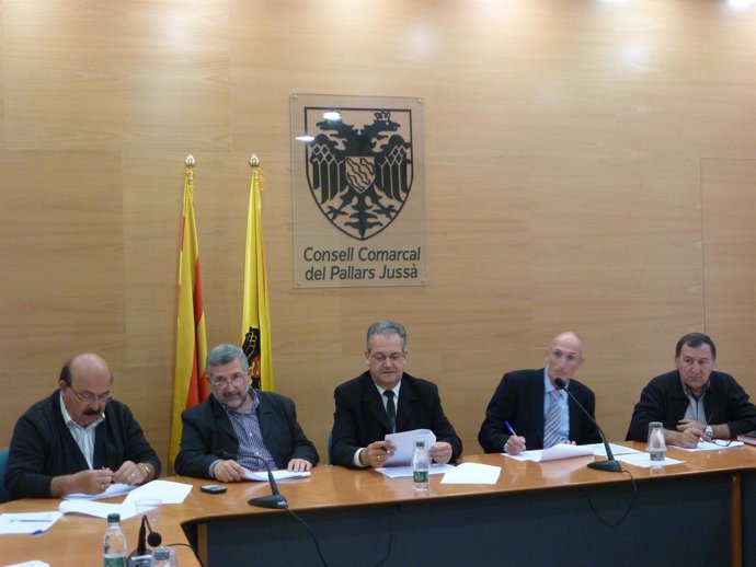 6 Municipios De Lleida Se Unen Para Subastar Juntos Madera